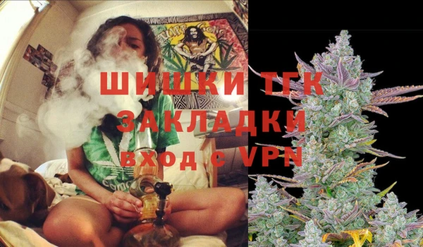 mdpv Гусев