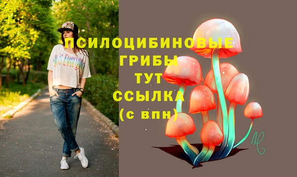mdpv Гусь-Хрустальный