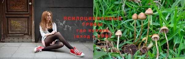 первитин Горняк