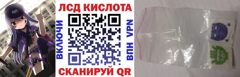 Марки 25I-NBOMe 1500мкг  где можно купить наркотик  Гусев 