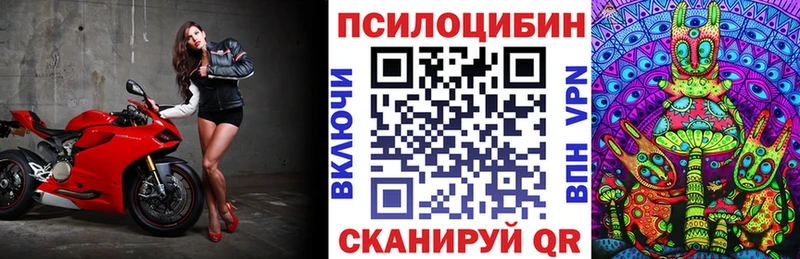 Галлюциногенные грибы прущие грибы  Гусев 